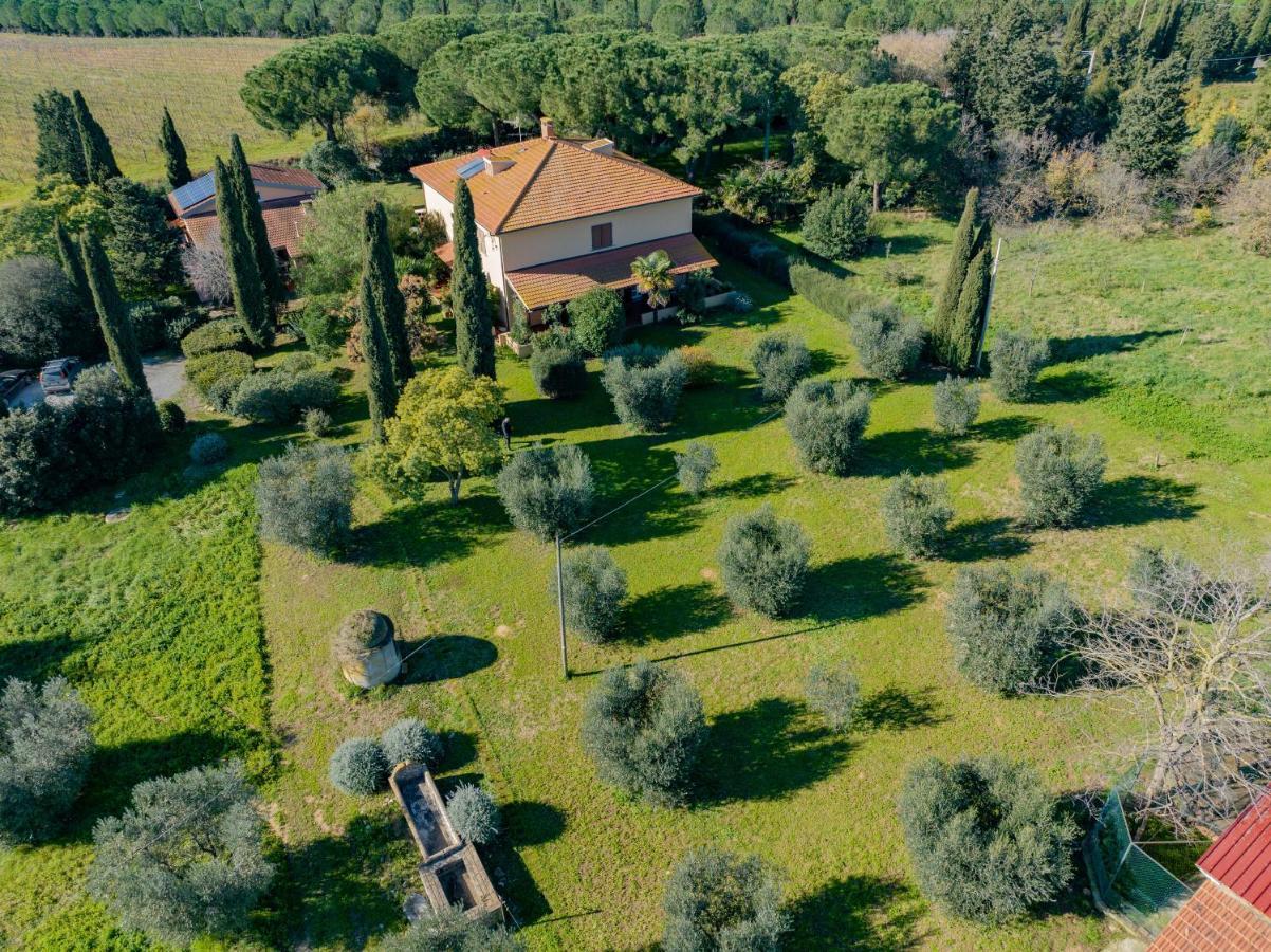Nel verde a due passi dal mare Magliano in Toscana Esterno foto
