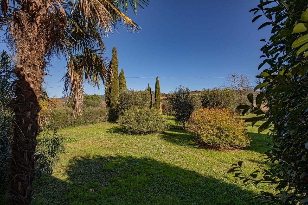 Nel verde a due passi dal mare Magliano in Toscana Esterno foto